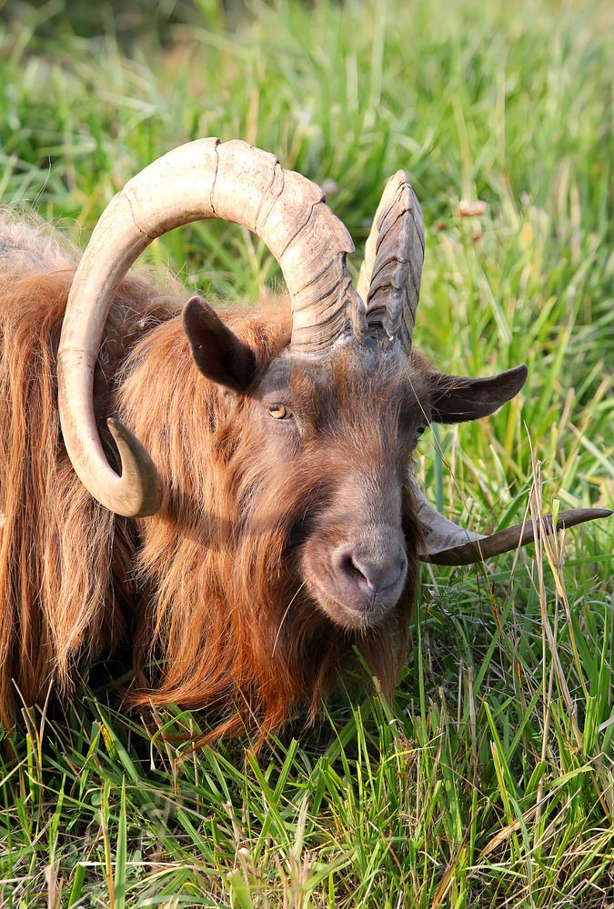 Photograph by Татьяна Слесарева