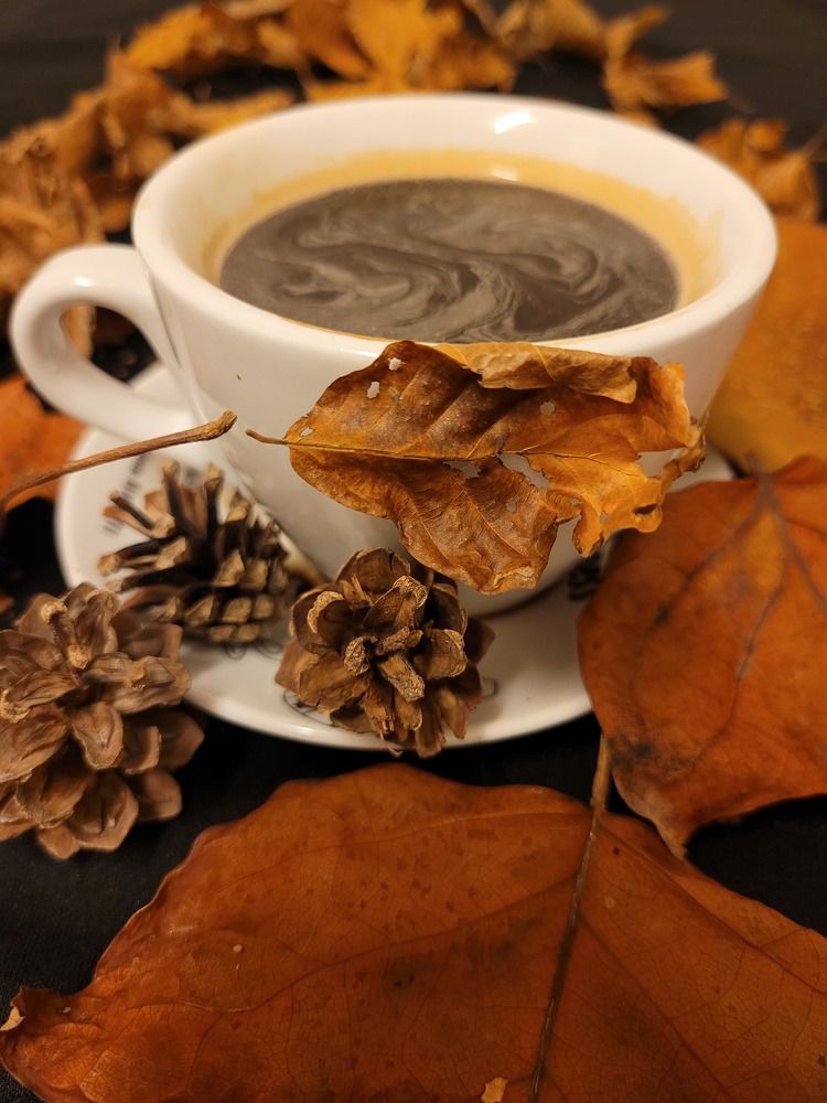 Photograph by Catherine Walter-Prêtre