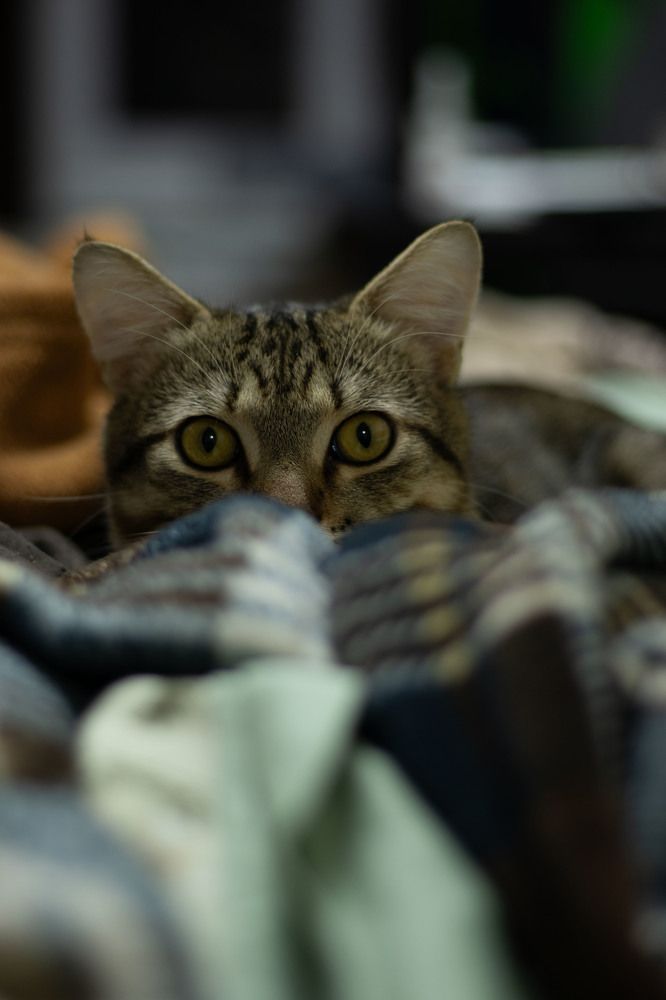 Photograph by Ксения Золотарь