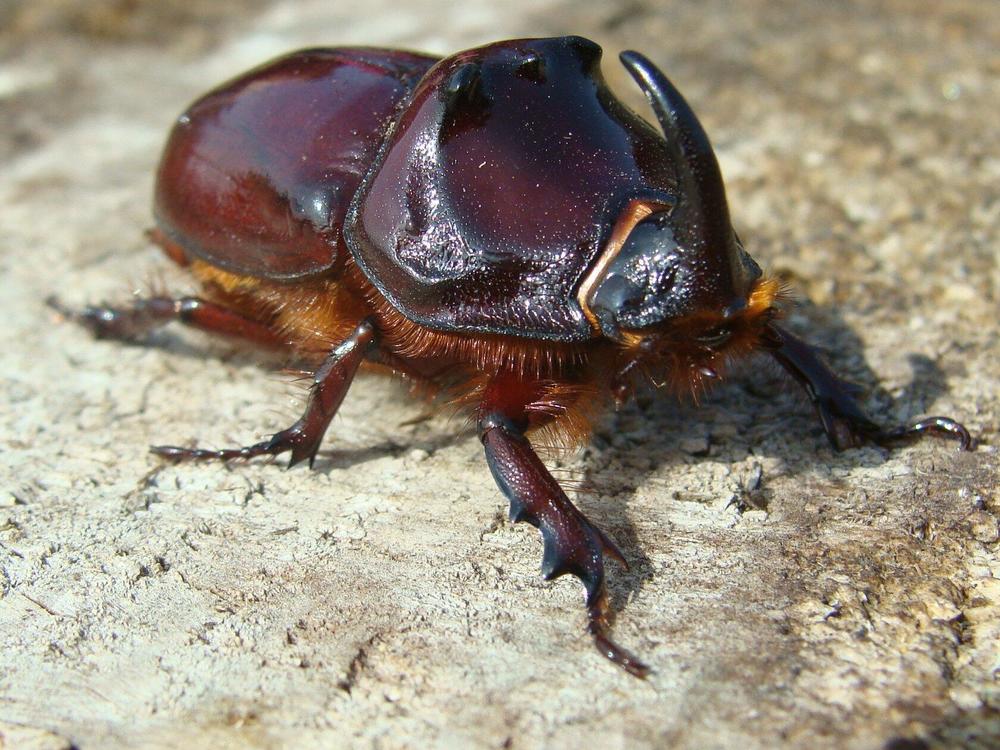 Фотография автора Павел Попов