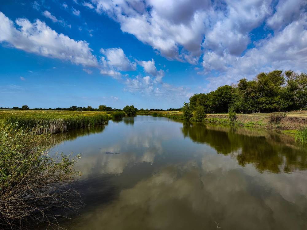 Photograph by Ирина Шибитова