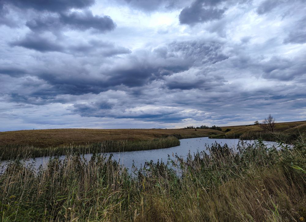 Photograph by Ирина Шибитова