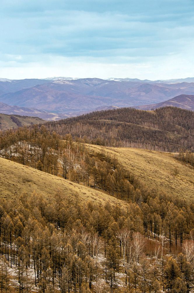 Photograph by Alexandr Myasnikov