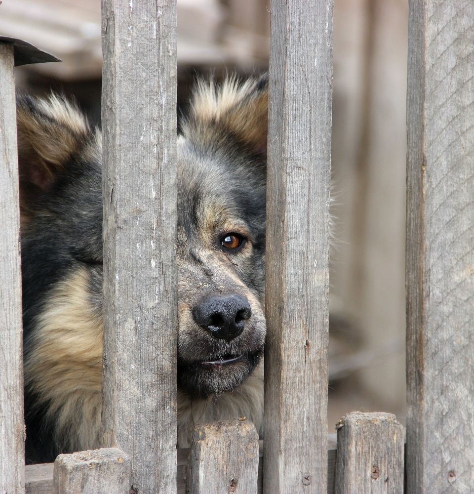 Photograph by Светлана Булыгина