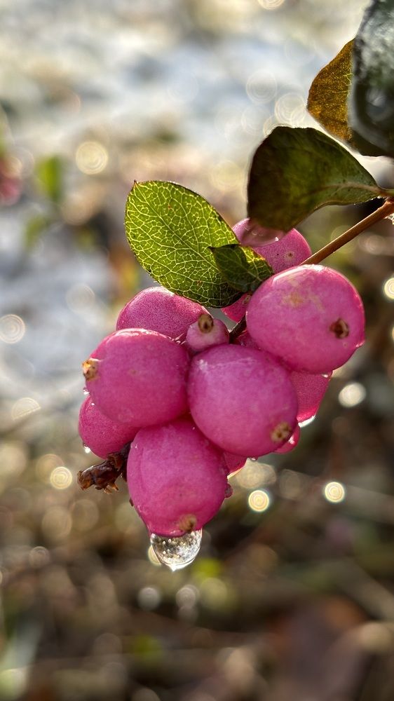 Photograph by Елена Гущина