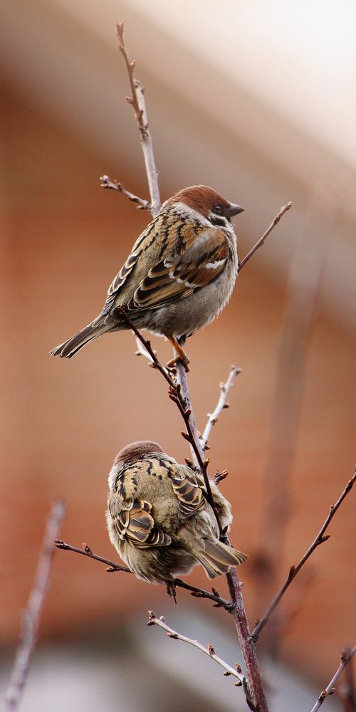 Photograph by виктор ковчин