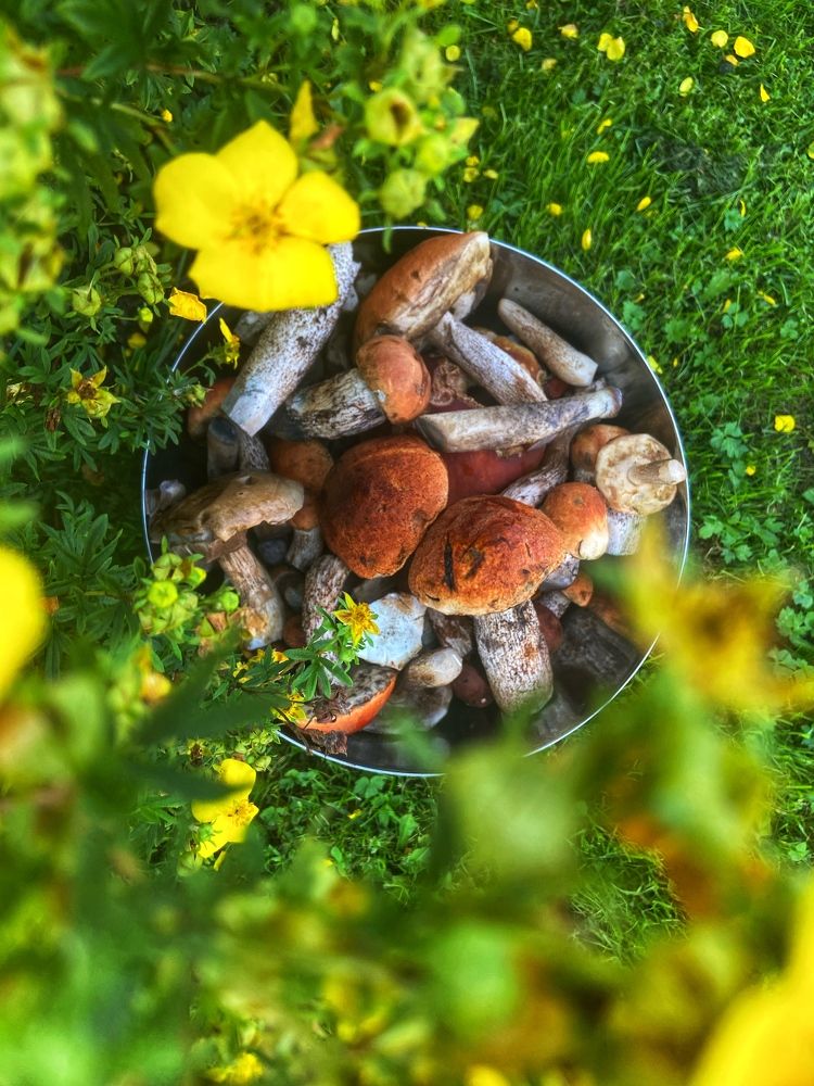 Photograph by Oksana Smorodina