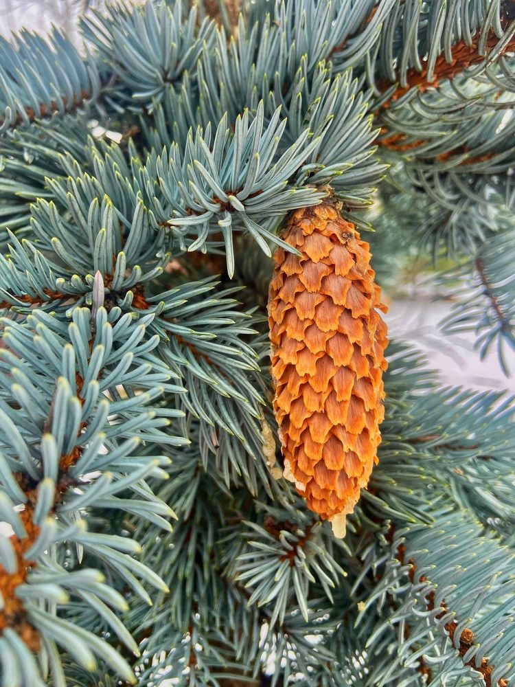 Photograph by Oksana Smorodina