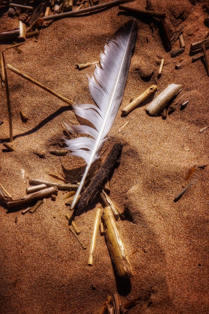 Photograph by Oksana Smorodina