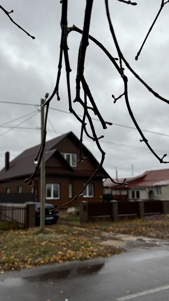 Photograph by Елена Гущина