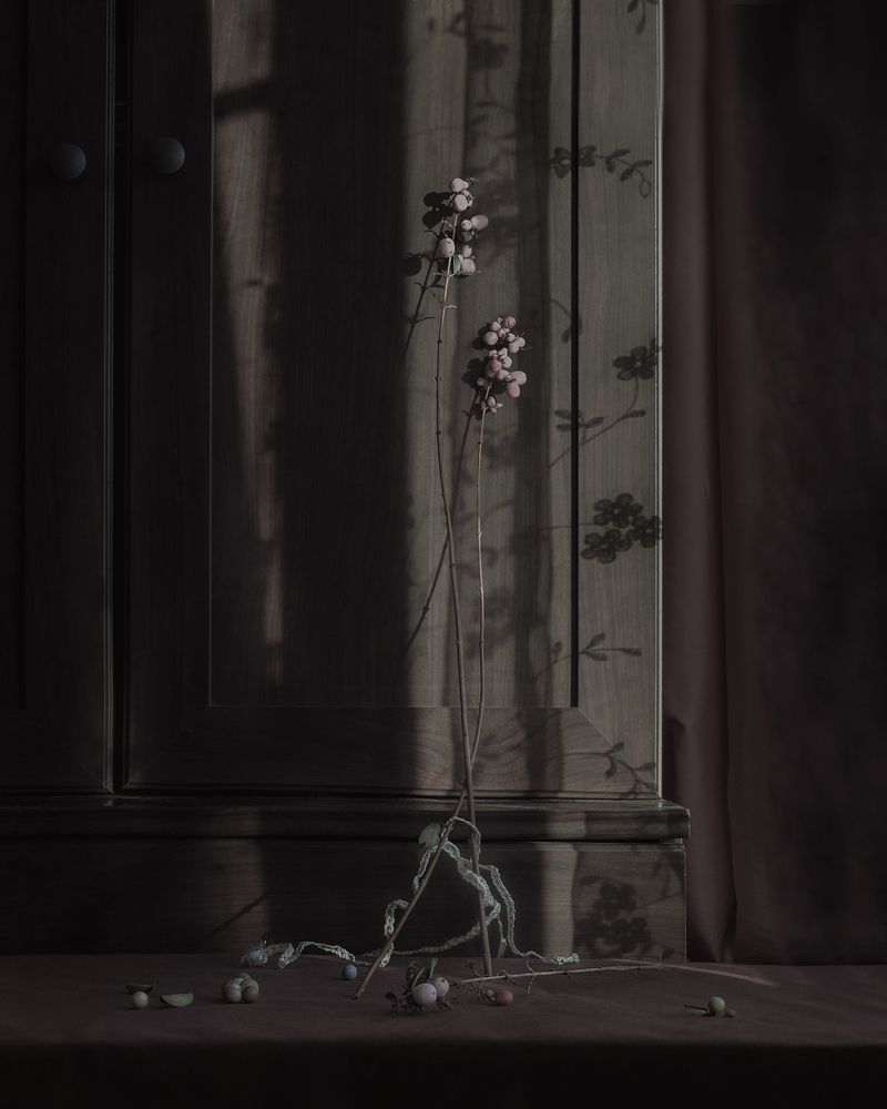 Photograph by Ада Авдонина