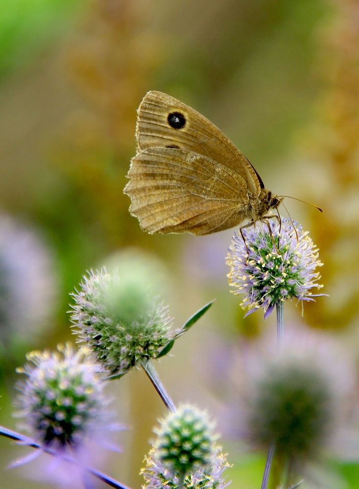 Photograph by Светлана Булыгина