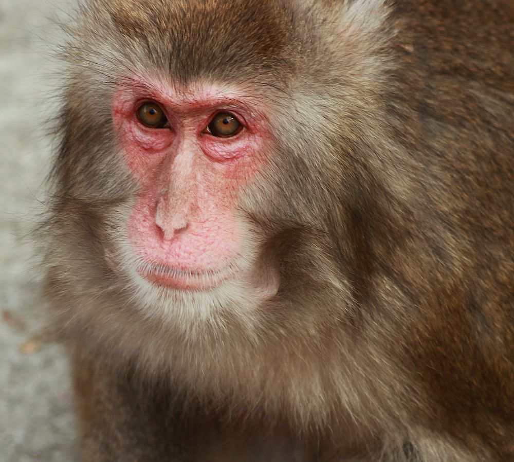 Photograph by Гагик Саркисян