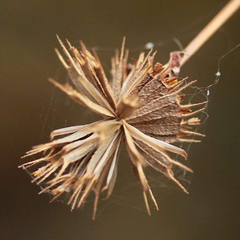 Photograph by Гагик Саркисян