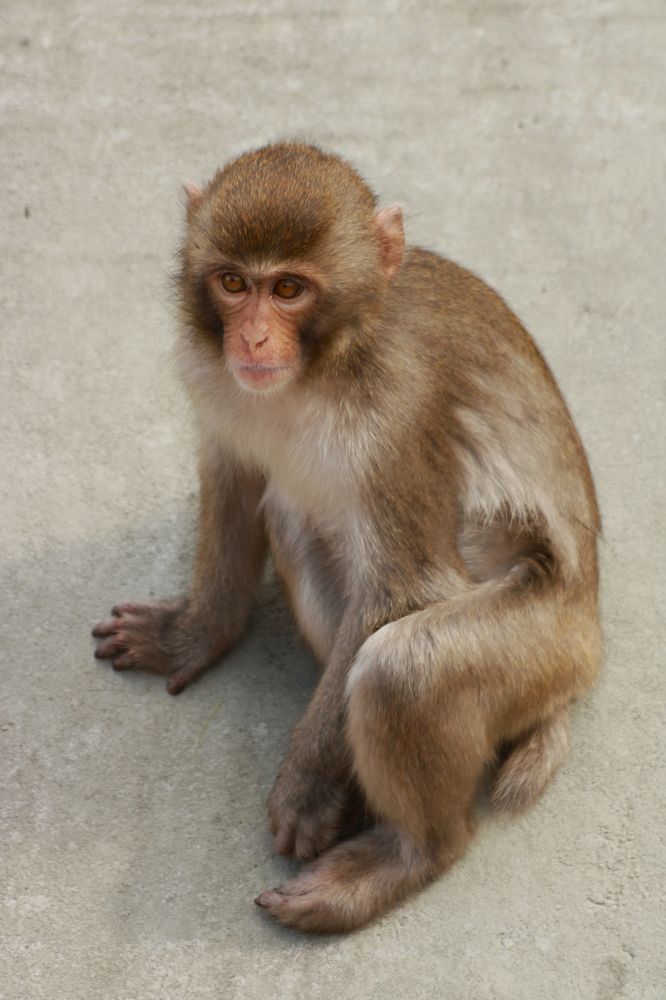 Photograph by Гагик Саркисян