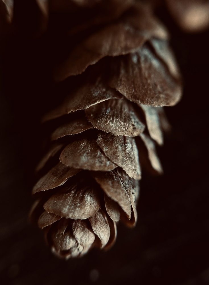 Photograph by Ксения Гулькова