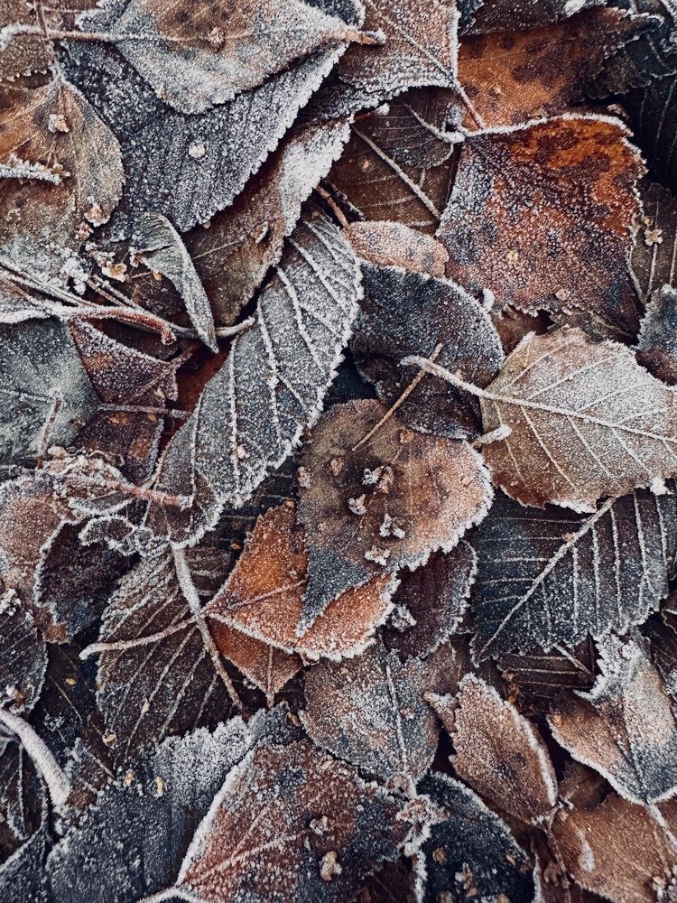 Photograph by Ксения Гулькова