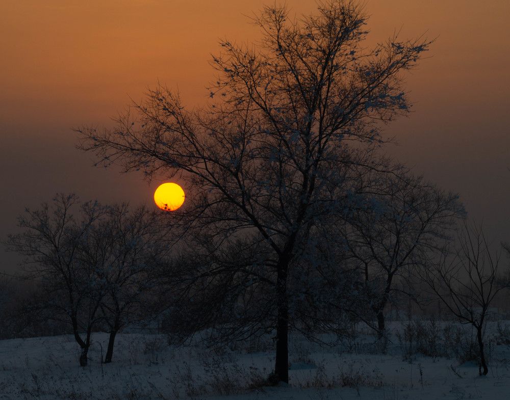 Photograph by Дубровин Николай