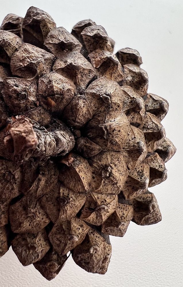 Photograph by Ксения Гулькова