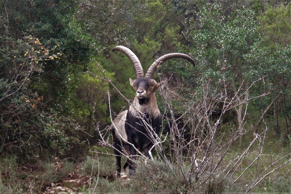 Photograph by Валерия Яскович