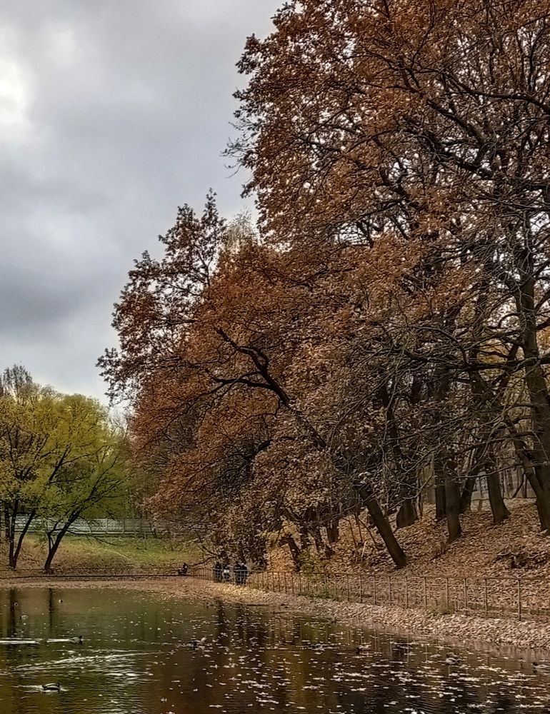 Photograph by Sergey Kurkov-Tarkovsky