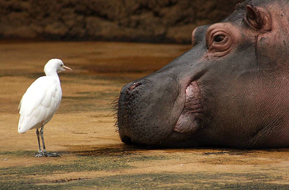 Фотография автора Александр