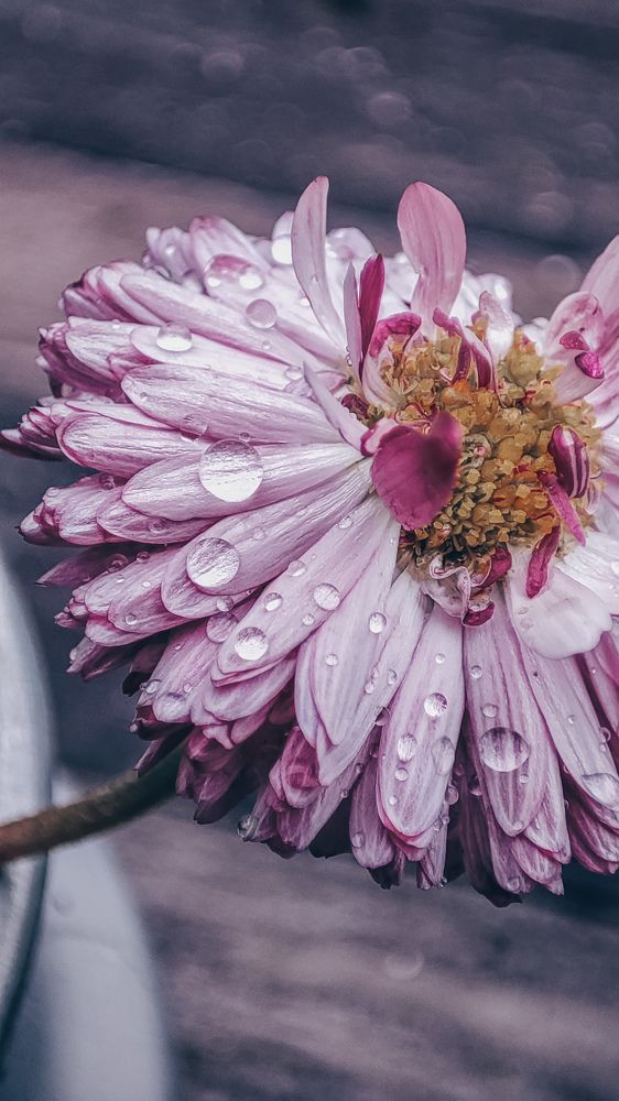 Photograph by Екатерина Никитина