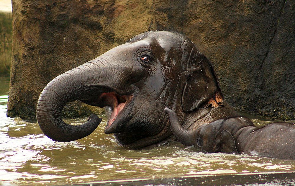 Фотография автора Александр