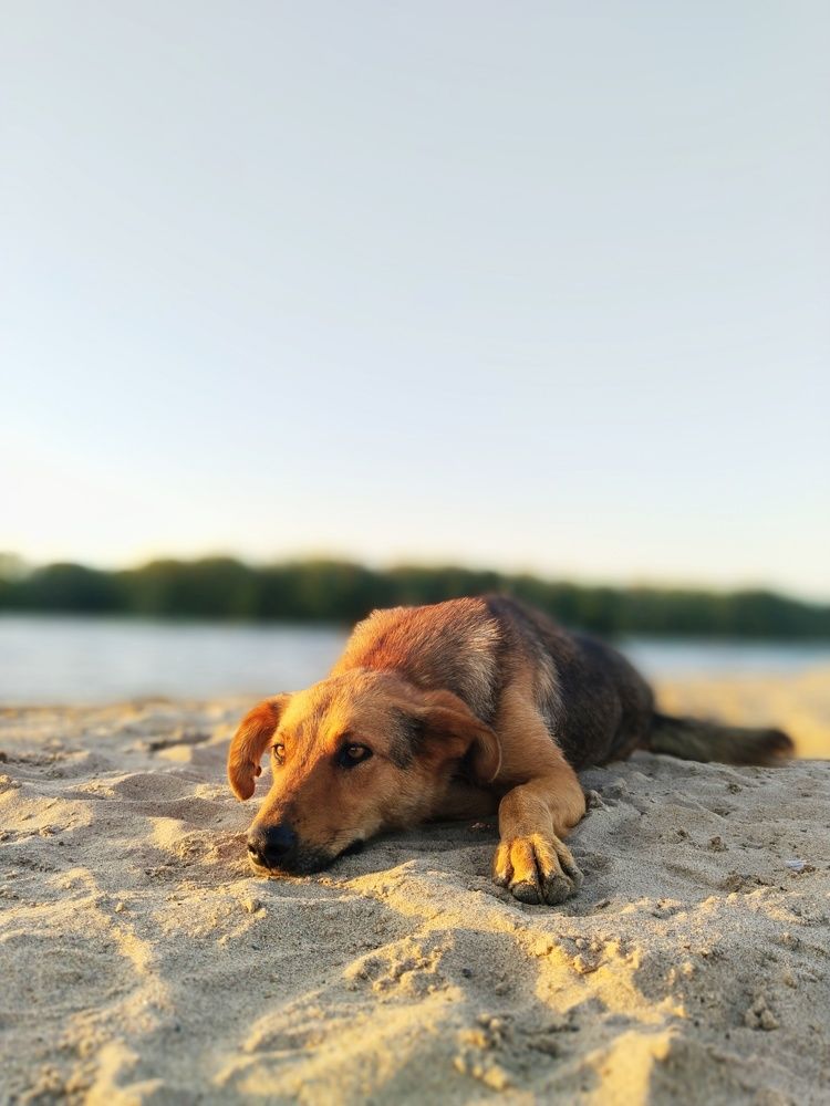 Photograph by Ольга Чернова