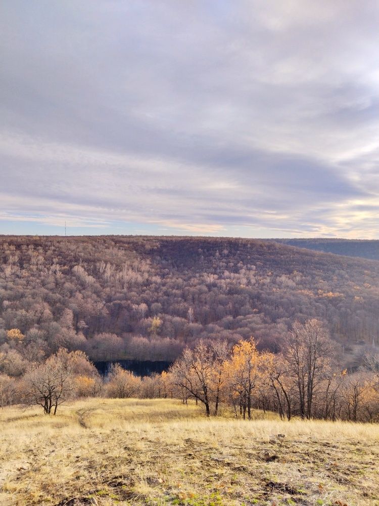 Photograph by Ольга Чернова