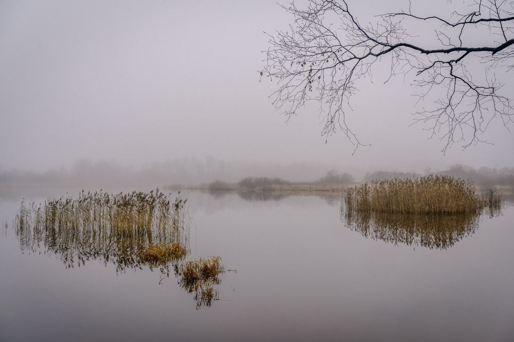 Фотография автора Васильев Андрей