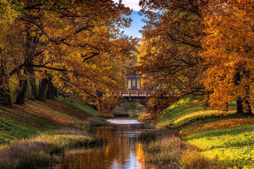 Фотография автора Васильев Андрей