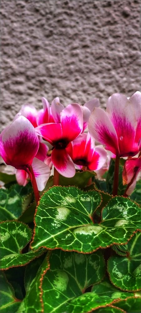 Photograph by Елена Егорова