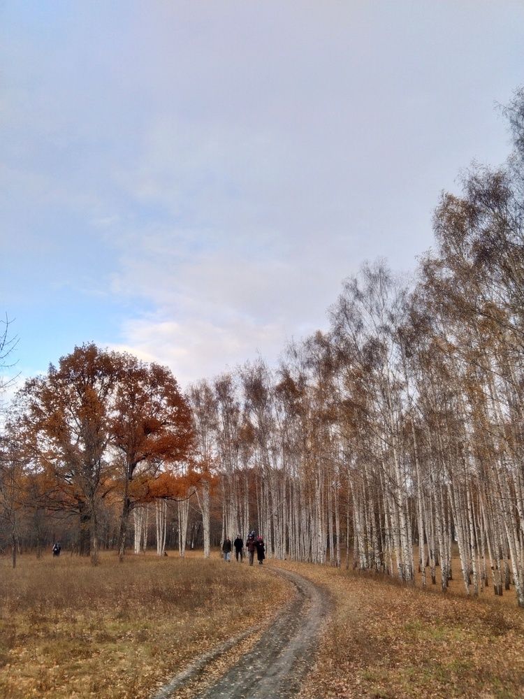 Photograph by Ольга Чернова