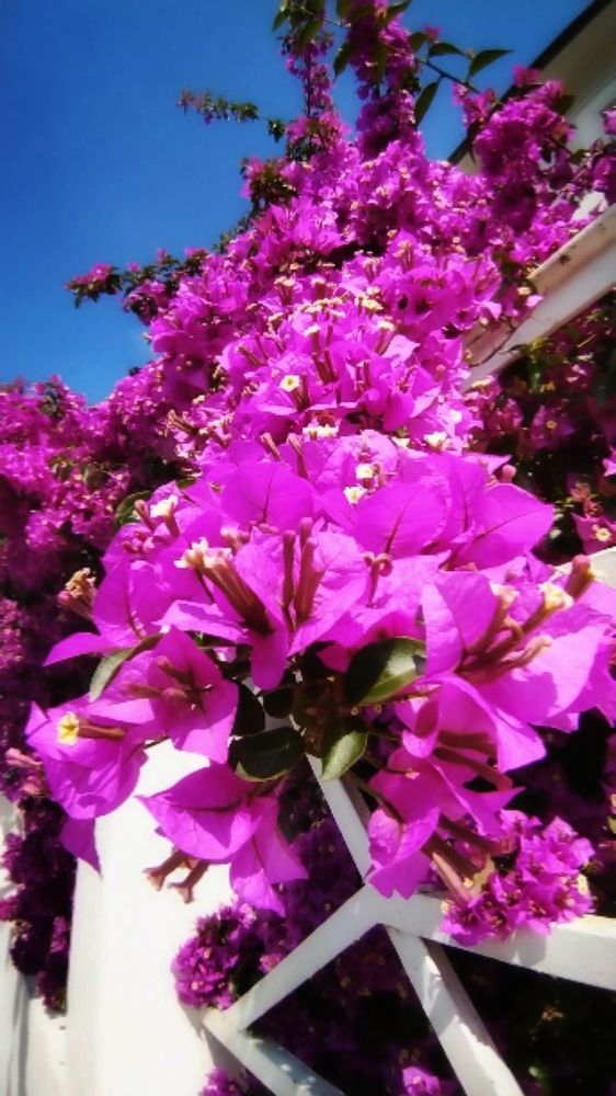 Photograph by Елена Егорова