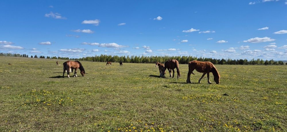 Фотография автора Ольга Мусина