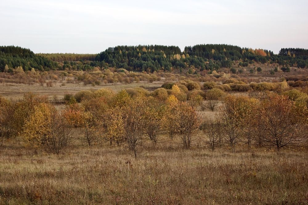 Photograph by Лариса Белашова