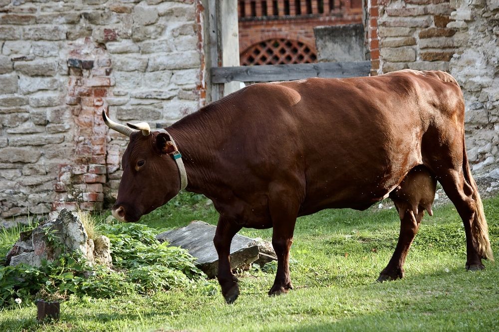 Photograph by Лариса Белашова
