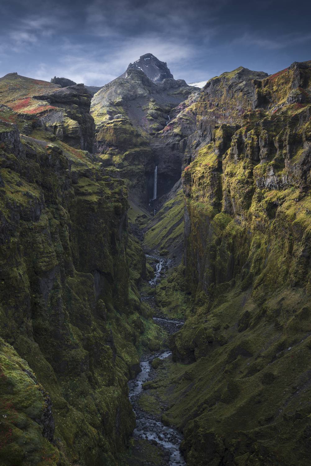 Фотография #11432646