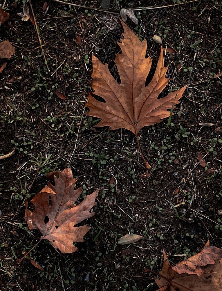 Photograph by Анастасия Сартакова