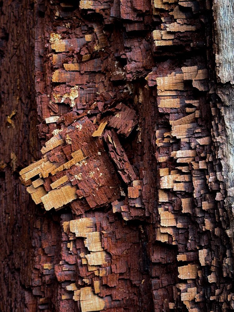 Photograph by Анастасия Сартакова