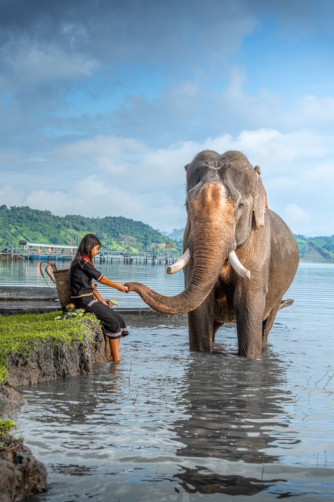 Photograph by Vu Khoa Nguyen Khanh