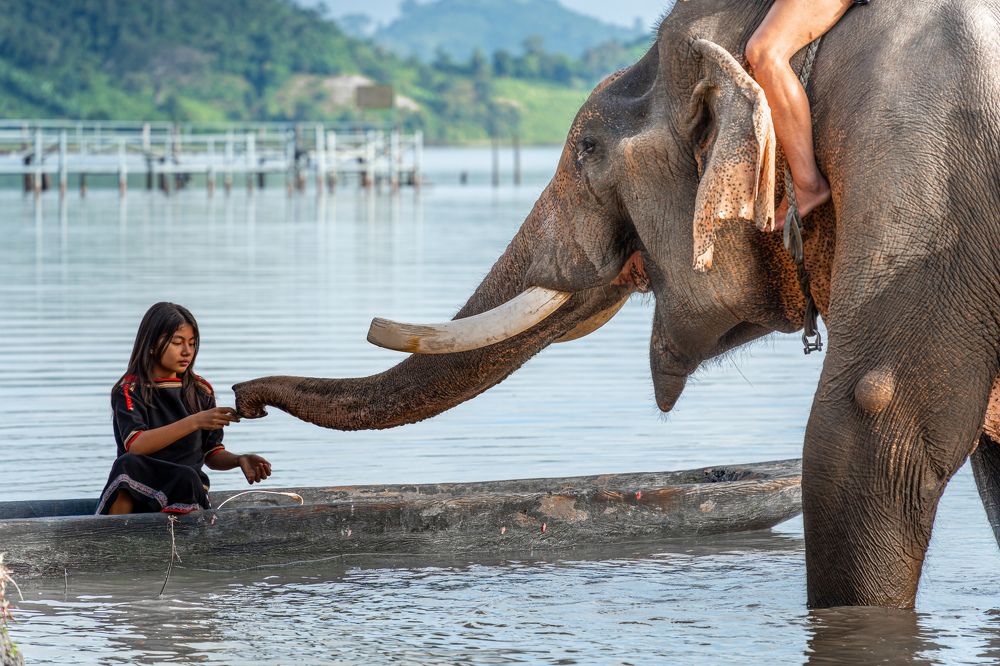 Photograph by Vu Khoa Nguyen Khanh