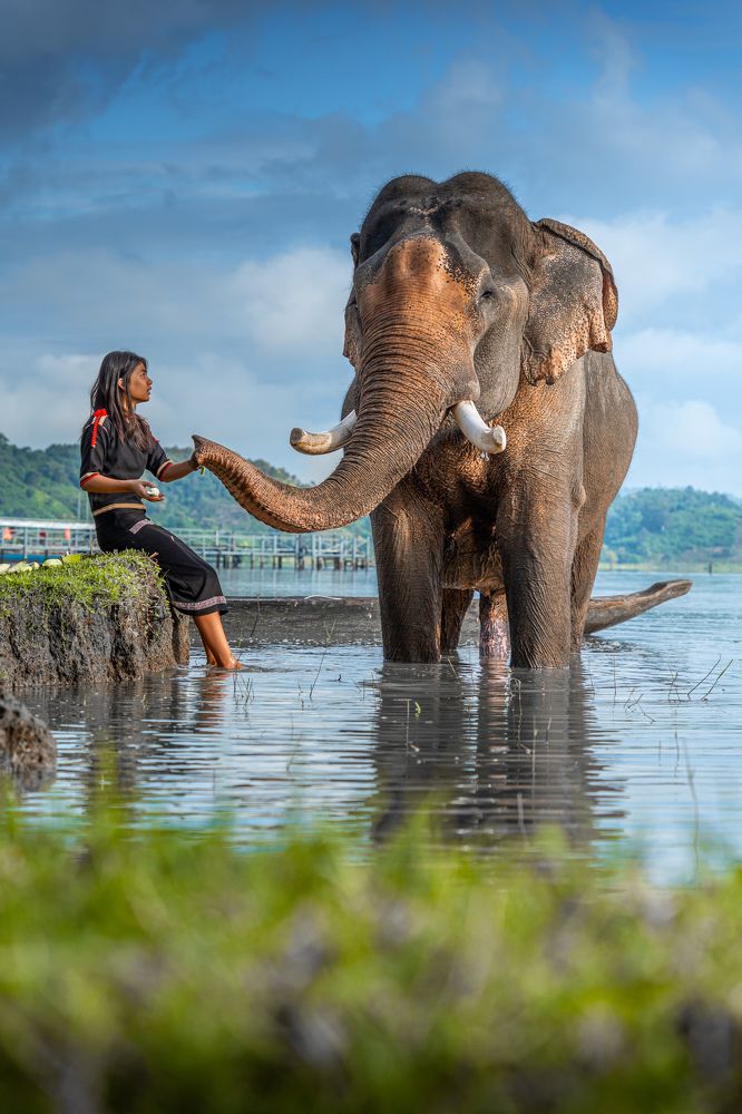 Photograph by Vu Khoa Nguyen Khanh