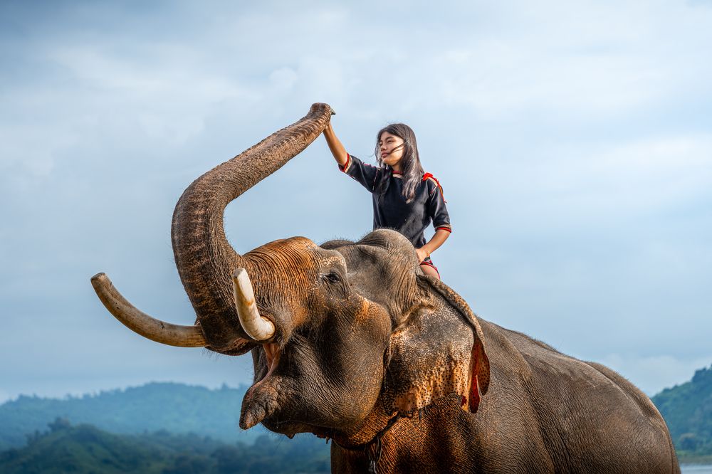 Photograph by Vu Khoa Nguyen Khanh