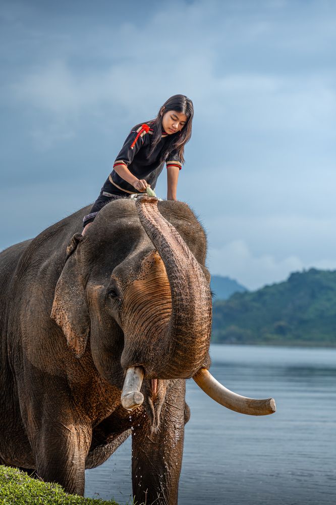 Photograph by Vu Khoa Nguyen Khanh