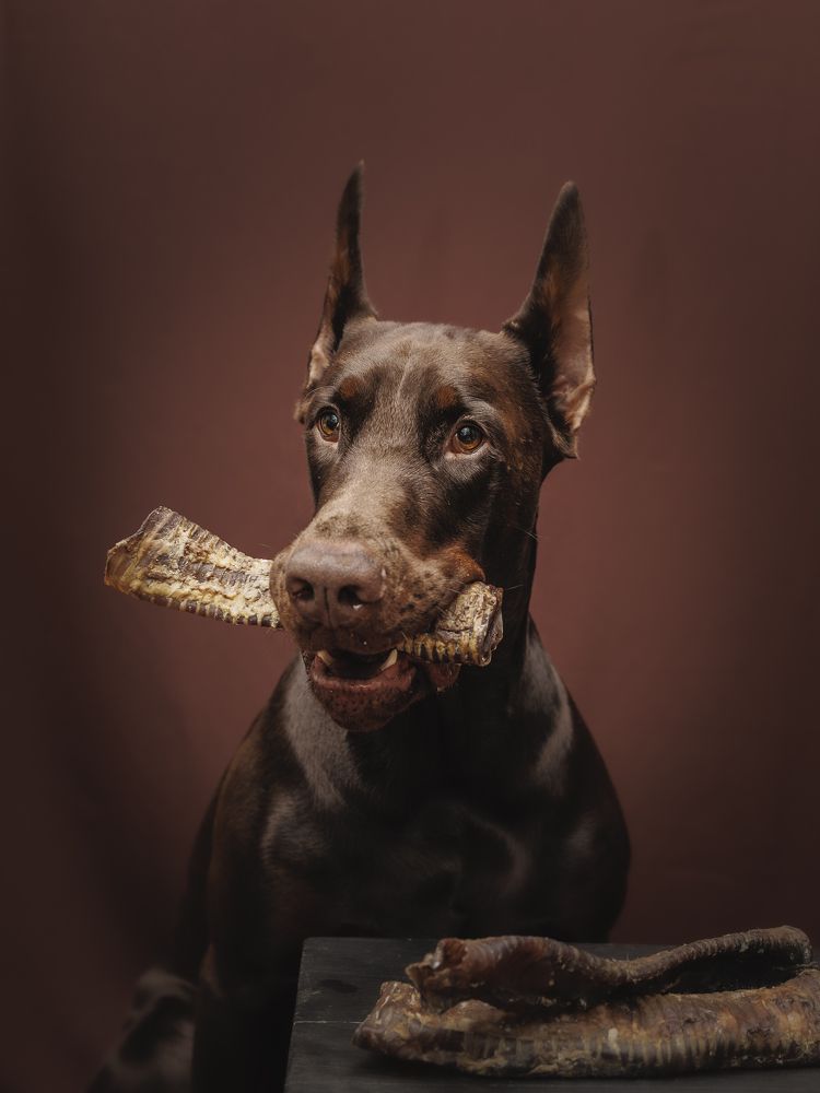 Photograph by Мария Клещенко