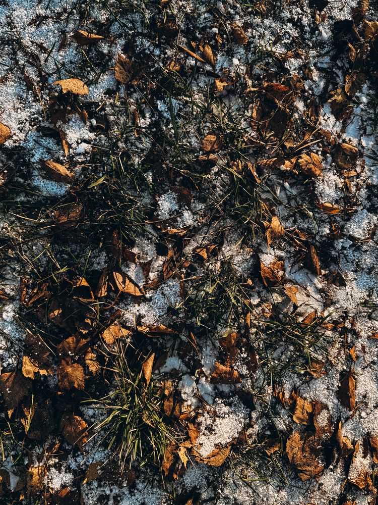 Photograph by Александра Кишикова