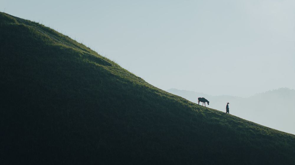 Photograph by Vu Khoa Nguyen Khanh