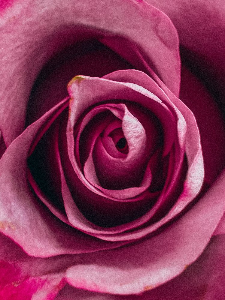 Photograph by Александра Кишикова